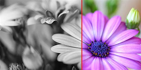 Understanding Black-White levels, Colour and Contrast