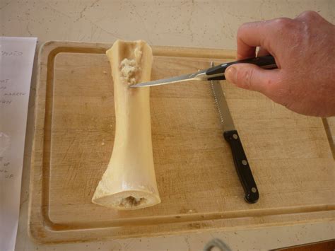 Prepare Bone for Carving : 8 Steps - Instructables