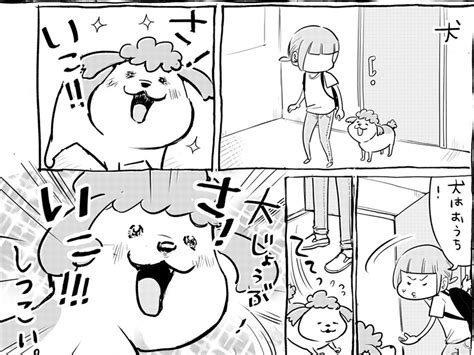 飼い主のお出かけについて行きたがる犬 一方、お猫様は？『犬と猫どっちも飼ってると』 – grape [グレイプ]