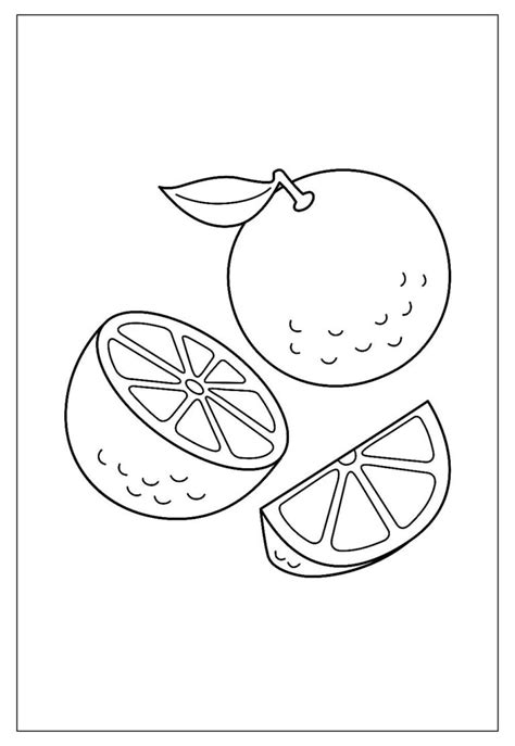 Desenho De Laranja Para Pintar - Desenhos de Laranja para Colorir e Pintar - Tudo Para Colorir