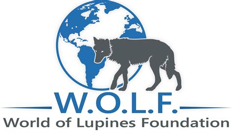 The Lupine Dog – World Of Lupines Foundation