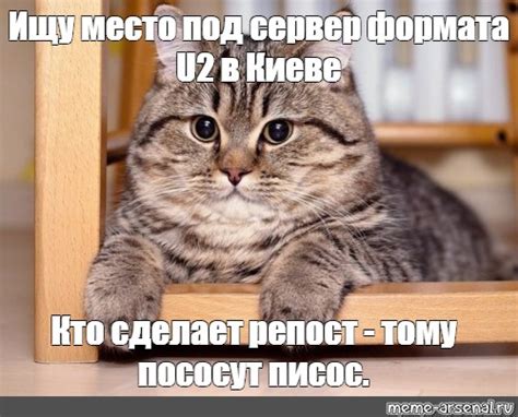 Meme: "Ищу место под сервер формата U2 в Киеве Кто сделает репост ...