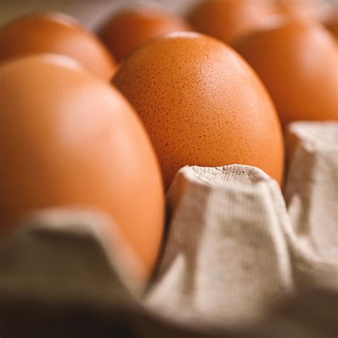 Recettes avec des Oeufs - Gastronomico