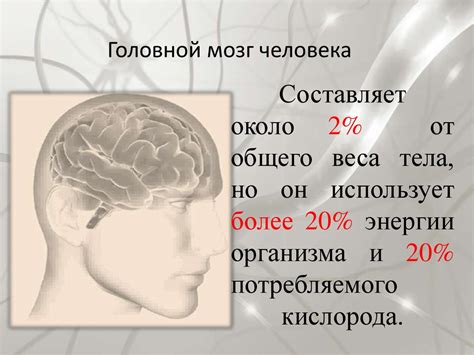 Строение и функции головного мозга - презентация онлайн