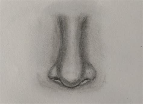 How To Draw A Nose Step By Step Easily For Beginners