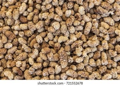 Dry Mulberry Royalty-Free Images, Stock Photos & Pictures | Shutterstock