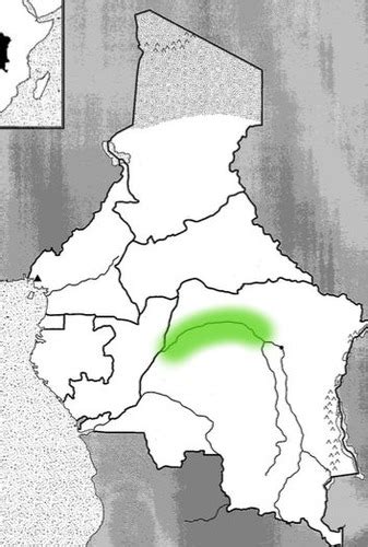 Central Africa physical map Flashcards | Quizlet