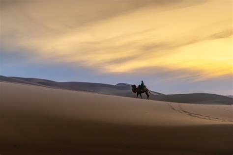 Highlights of Mongolia: Monasteries, Mountains & Desert Dunes - 5 Days ...