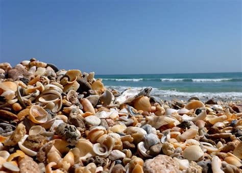 Blind Creek Beach: A Hidden Gem on Florida's Coast - Travelistia