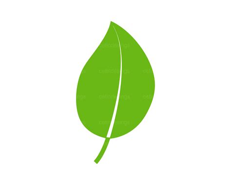 Leaf Icon, Leaf Svg, Leaf Png, Leaf Jpg, Leaf Eps, Leaf Pdf, Leaf ...
