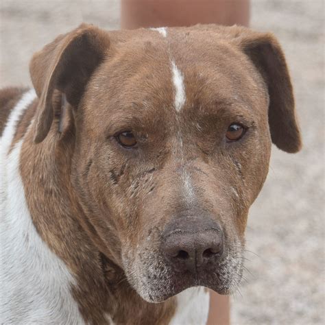 How to contact the boone funeral home adel for help 4