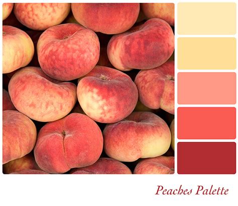 How To Make A Orange Peach Color With Paint - Paint Color Ideas