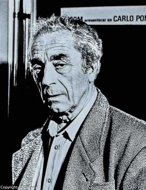 Bilsel Battal » Michelangelo ANTONIONI