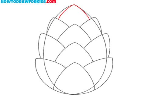 how to draw a pine cone