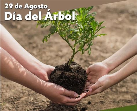 Día del Árbol | Cadena Nueve - Diario Digital