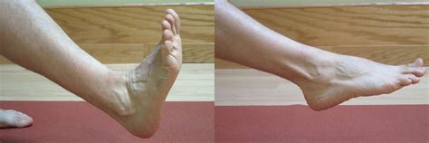 ankle sprains intermediate phase part ii  iii  physical