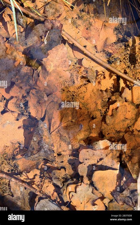 Ferric hydroxide hi-res stock photography and images - Alamy