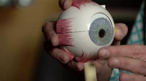 Contact lenses that reshape eyes overnight help in daytime | Contact ...
