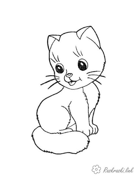 Кошки Раскраски распечатать бесплатно.
