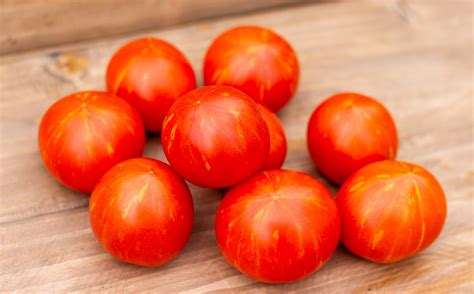 ДИНА БРЕД ГЕЙТС Dean’s Brad Gates Dwarf — BTomate