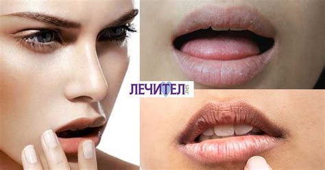 Лечител.net | Най-добрият портал за здраве!
