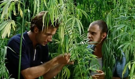 Film Fan: Lammbock (3 Stars)
