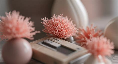 How Can Natural Daylight Be Maximized to Reduce the Need for Artificial