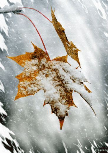 ЗИМНЯЯ СКАЗКА *** | Winter art, Beautiful gif, Art