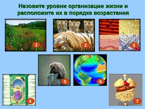 Чарльз Дарвин и происхождение видов - презентация онлайн