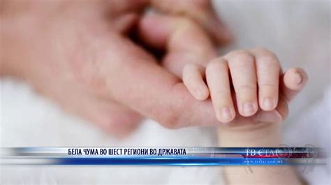 БЕЛА ЧУМА ВО ШЕСТ РЕГИОНИ ВО ДРЖАВАТА 27 06 2020 - YouTube