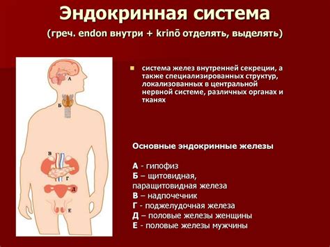 Гормональные препараты - презентация онлайн
