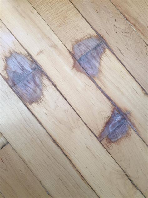 Hardwood Floor Stain Not Drying – Flooring Site