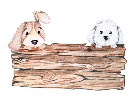 Cachorro Pintado De Onça - 9
