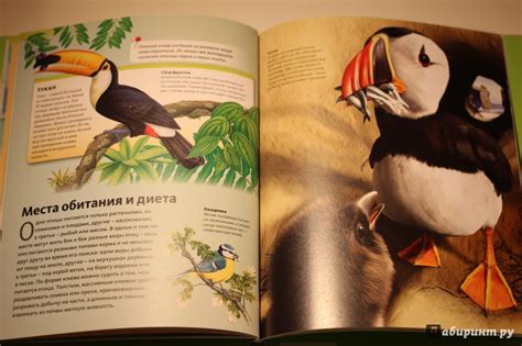 Книга: Птицы - . Купить книгу, читать рецензии | Лабиринт