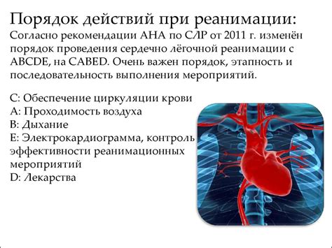 Сердечно лёгочная реанимация - презентация онлайн