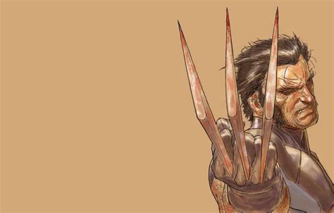 Обои взгляд, фон, когти, Wolverine, X-Men, Marvel Comics, адамантий на ...