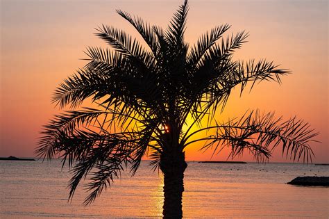 6 Best Beaches in Qatar - Which Beach Should You Visit in Qatar? – Go ...