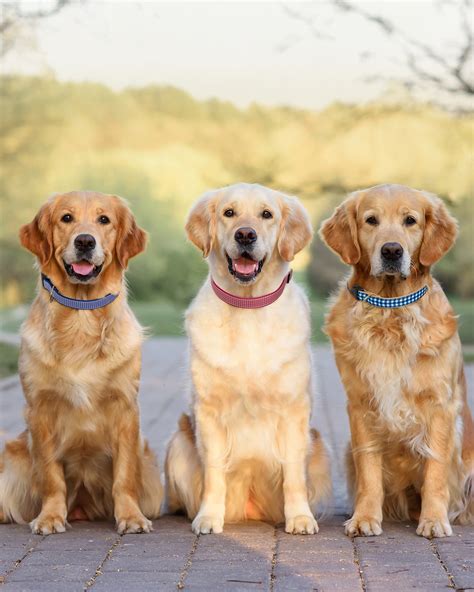 learning express toys & play 8