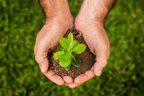 World Nature Conservation Day Slogans 2024: 20+ Quotes, Wishes, And ...