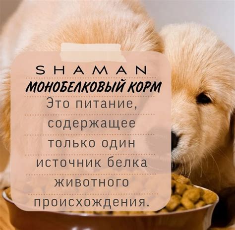 Монобелковый корм ️ Это питание, содержащее только один источник белка ...