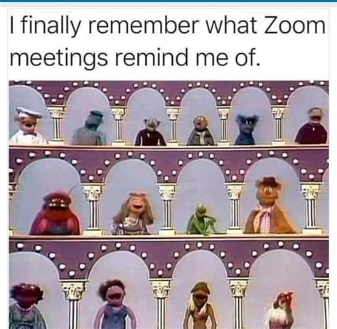 I finally remember what Zoom meetings remind me of | Really funny memes ...