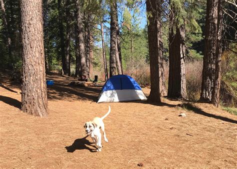 Algoma Campground Camping | The Dyrt