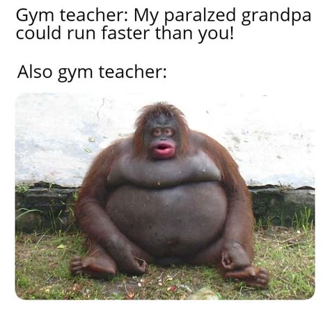51 Funny Cheer up Memes to Really Cheer up Your Friends As Well