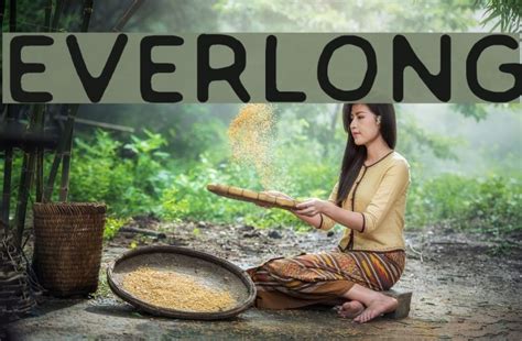 EVERLONG Font - FFonts.net