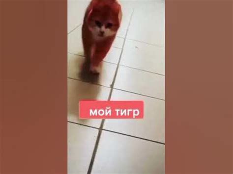 Валерон - YouTube