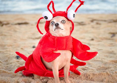 Reader's Digest | Funny Photos You Won't Be Able to Stop Laughing at