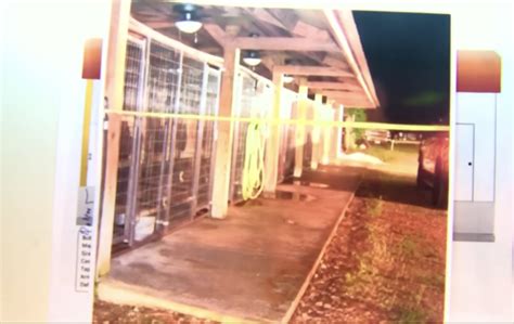 Alex Murdaugh trial shown new crime scene photos as dog caretaker ...