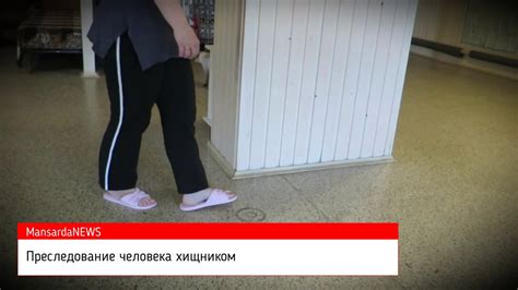 Преследование человека хищником - YouTube