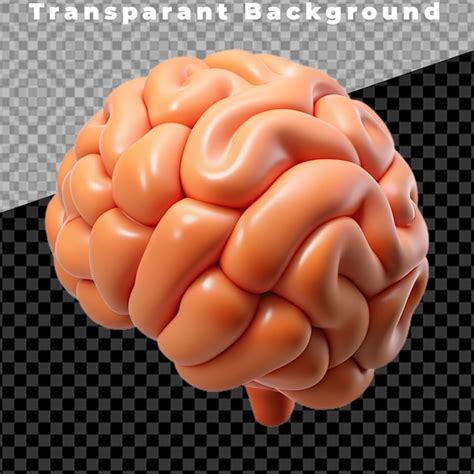 complex brain psd  high quality  psd templates