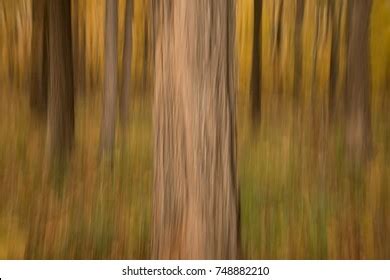 Blurred Forest Abstract Background Nature Tall Stock Photo (Edit Now ...